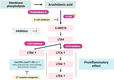 Chemical profiling of volatile compounds of the essential oil of grey-leaved rockrose (Cistus albidus L.) and its antioxidant, anti-inflammatory, antibacterial, antifungal, and anticancer activity in vitro and in silico